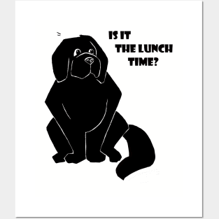 Newfie "Is it the lunch time?" Posters and Art